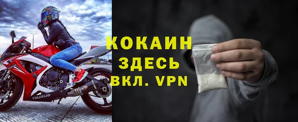 мдпв Богородск