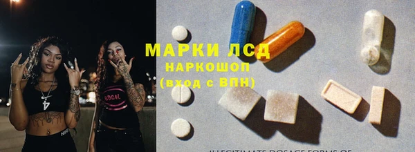 шишки Богородицк