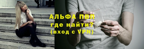 шишки Богородицк