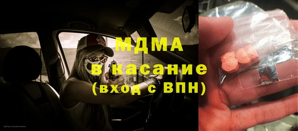 мдпв Богородск