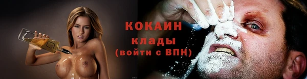 шишки Богородицк