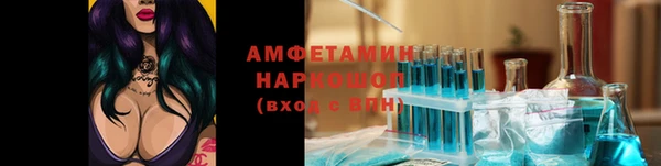 мдпв Богородск