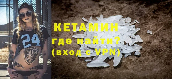 шишки Богородицк