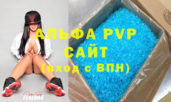 шишки Богородицк