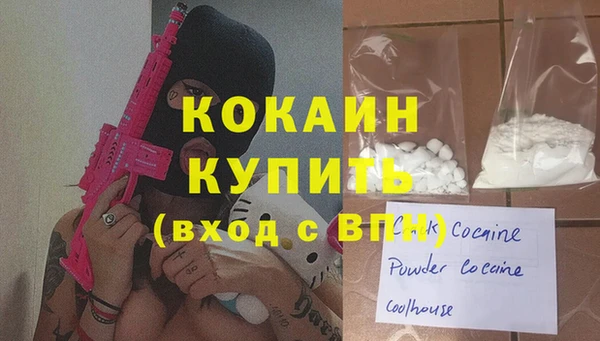 мдпв Богородск