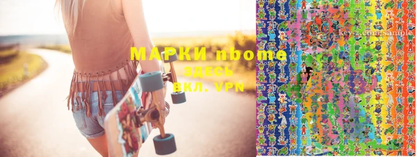 шишки Богородицк