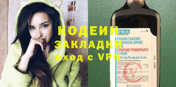 шишки Богородицк