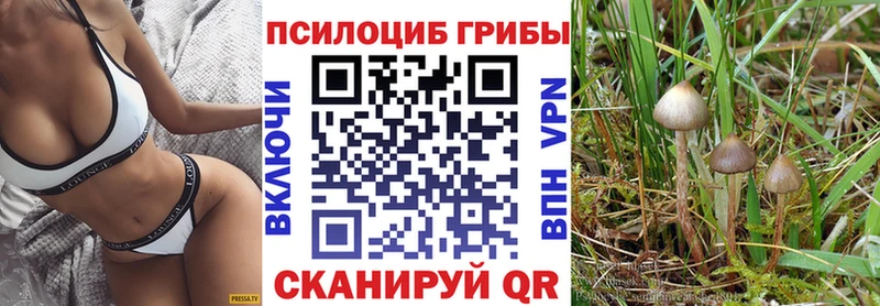 Купить закладки Грязовец Галлюциногенные грибы Magic Shrooms